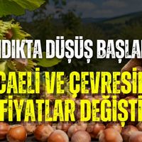 Kandıra