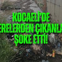 Kocaeli