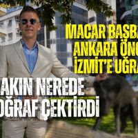 İzmit