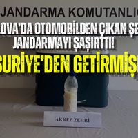 Asayiş