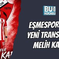 Spor