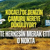 Kocaeli