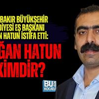 Siyaset