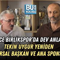 Spor