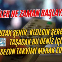 Genel