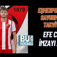 Spor