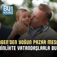 Siyaset