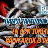 Genel