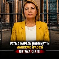Siyaset