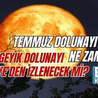 Genel