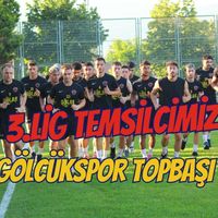 Spor