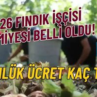 Genel