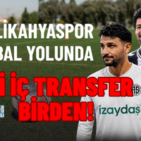 Spor