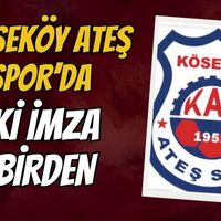 Spor