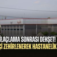 Asayiş