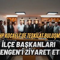 Siyaset