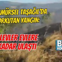 Asayiş