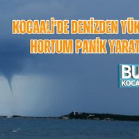 Genel