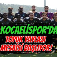 Spor