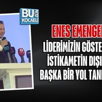 Siyaset