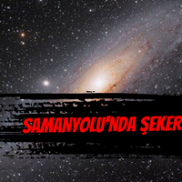 Bilim