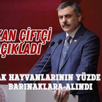 Yaşam