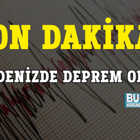 Genel