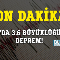 Genel