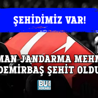 Genel