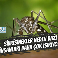 Sağlık