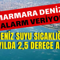 Genel