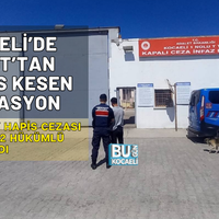 Asayiş