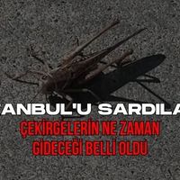 Genel