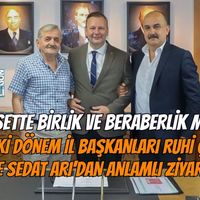 Siyaset