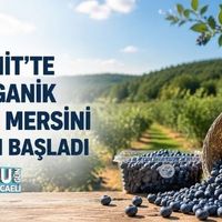 Kocaeli