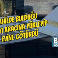 Genel