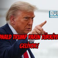 Siyaset