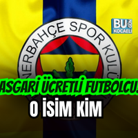 Spor