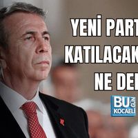 Siyaset