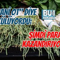 Kocaeli