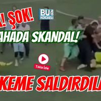 Spor