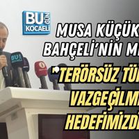 Siyaset