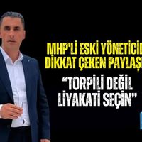 Siyaset