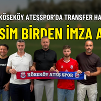 Spor