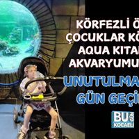 Körfez