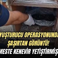 Asayiş