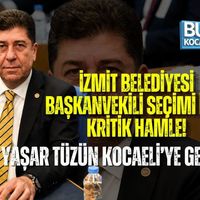 Siyaset
