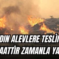Asayiş