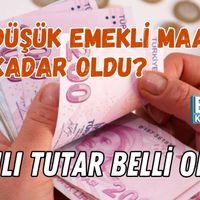 Genel