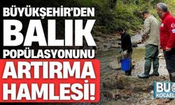 Büyükşehir'den Balık Popülasyonunu Artırma Hamlesi!